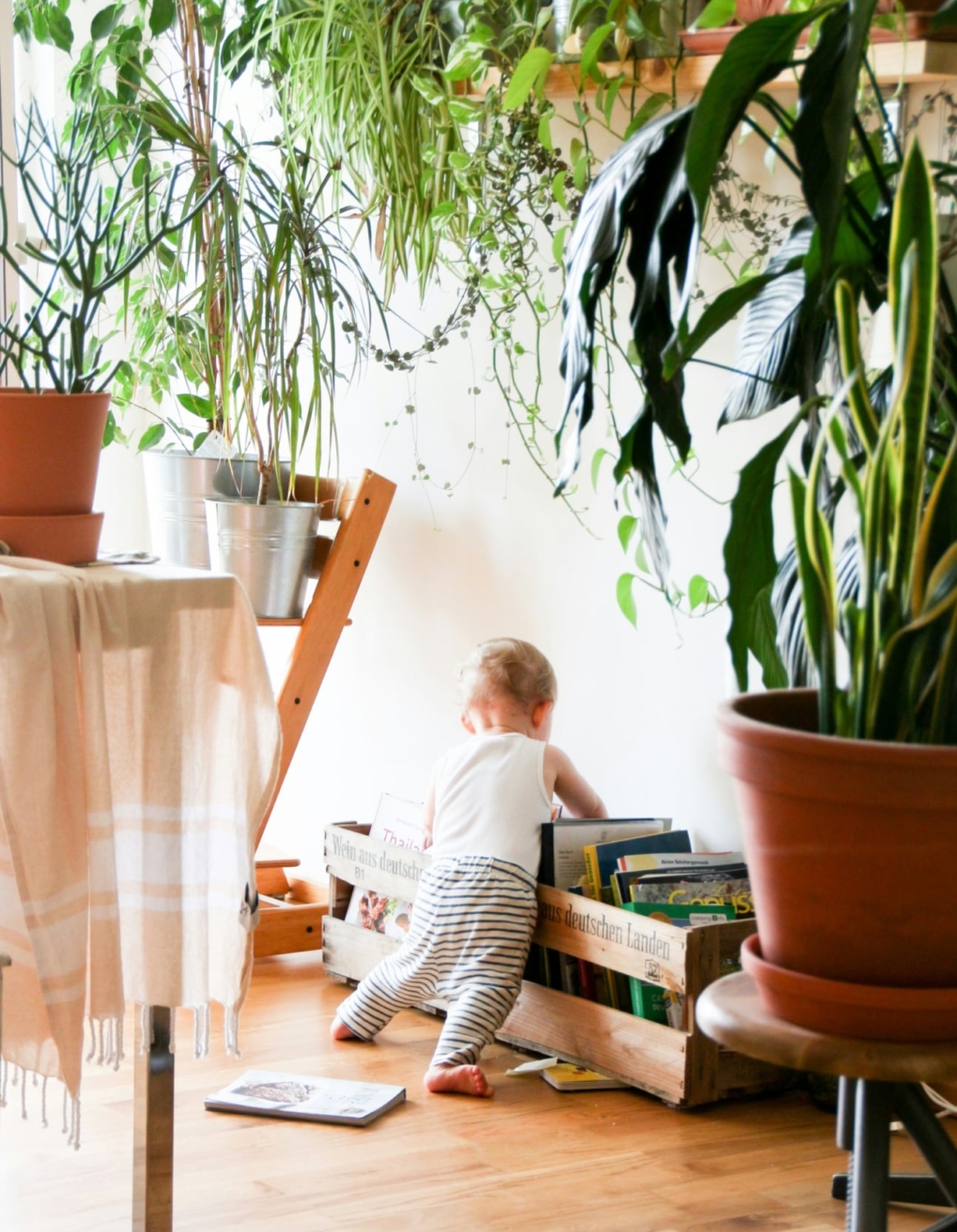 Conducta en el apartamento